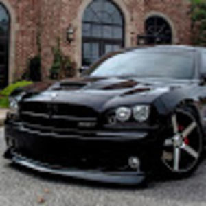 Meet your Posher, Benjamin